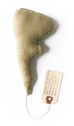 Bulbinopus Lumpus, sculpture, Fabric, thread,and stuffing with specimen tag - Carol Es