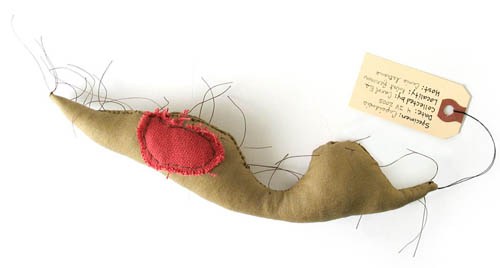 Capsidosis, sculpture, Fabric, thread, and stuffing with specimen tag - Carol Es