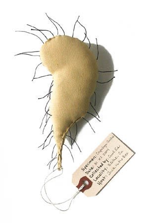 Crapaloga Onitus, sculpture, Fabric, thread, and stuffing with specimen tag - Carol Es