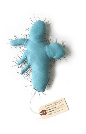 Flabillina, sculpture, Fabric, thread, and  stuffing with specimen tag - Ayin Es