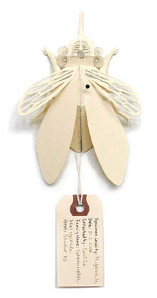 Fly Thing, sculpture, Manila pattern paper, pencil, glue, and pin - Ayin Es
