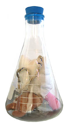 Lunitica Umbillicus, sculpture, Stuffed fabric, and paper in glass Erlenmeyer flask - Ayin Es