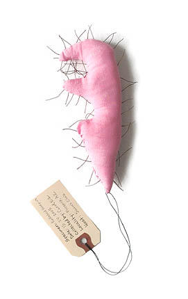 Pinkatoid Scorpius, sculpture, Fabric, thread, and stuffing with specimen tag - Carol Es