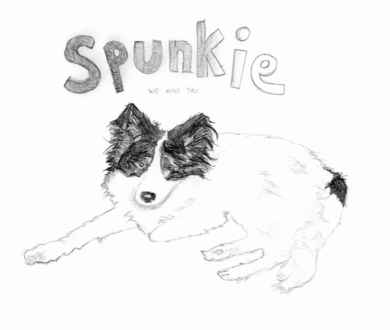 Spunkie We Miss You Drawing Number 2 Pencil On Regular Paper By Ayin Es
